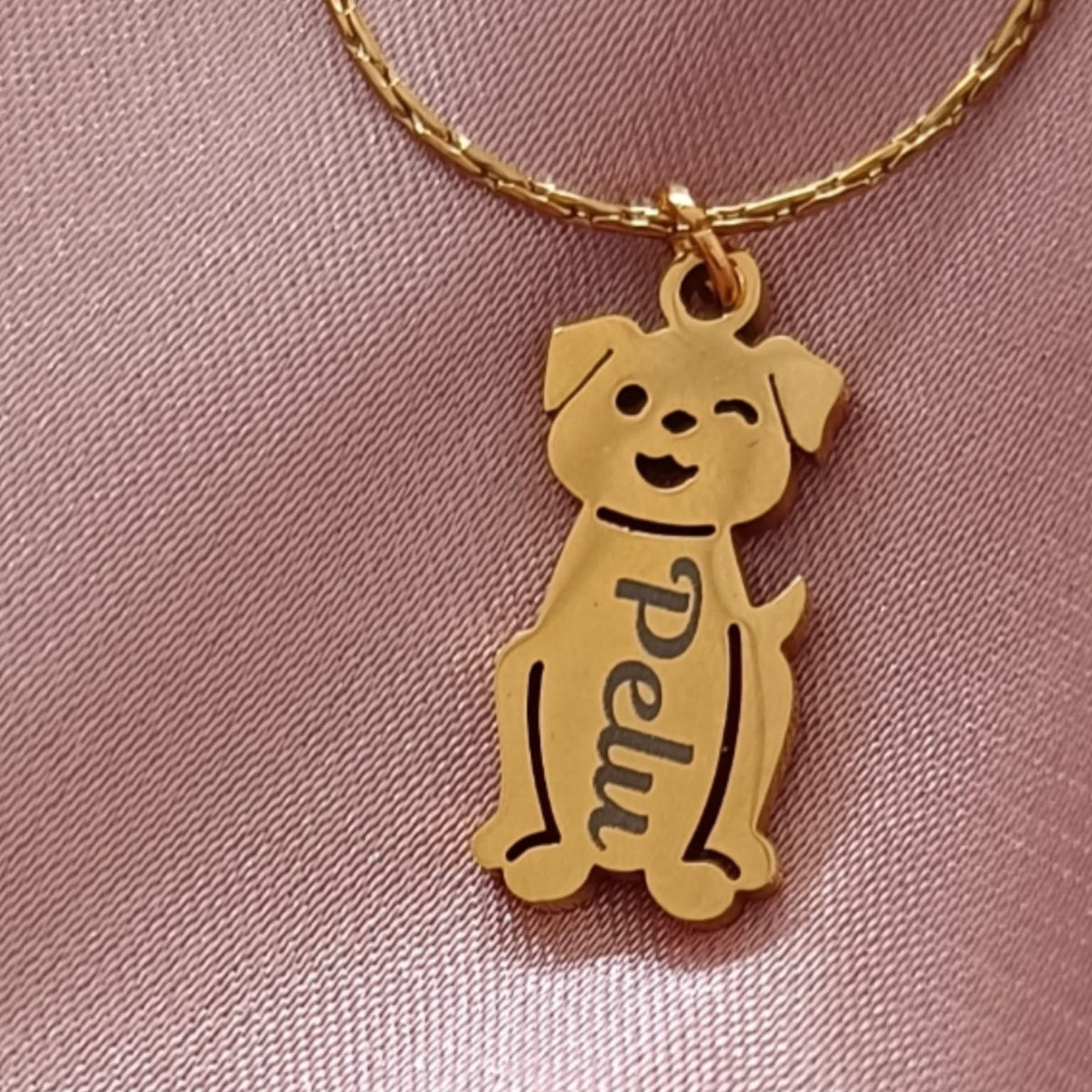 Cadena de Mascota
