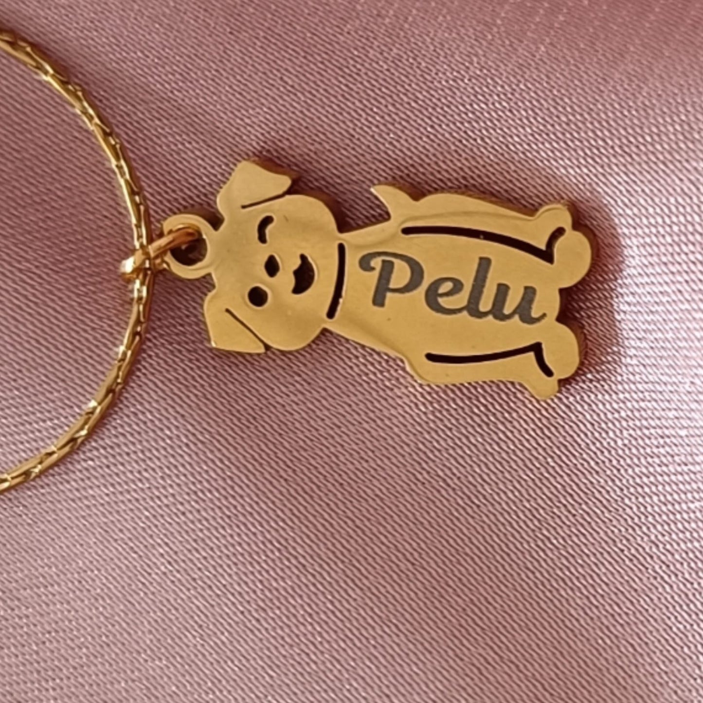 Cadena de Mascota