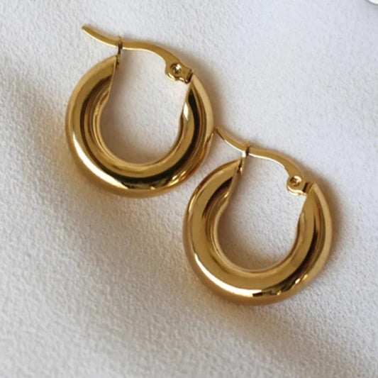 Aretes Hoops #2