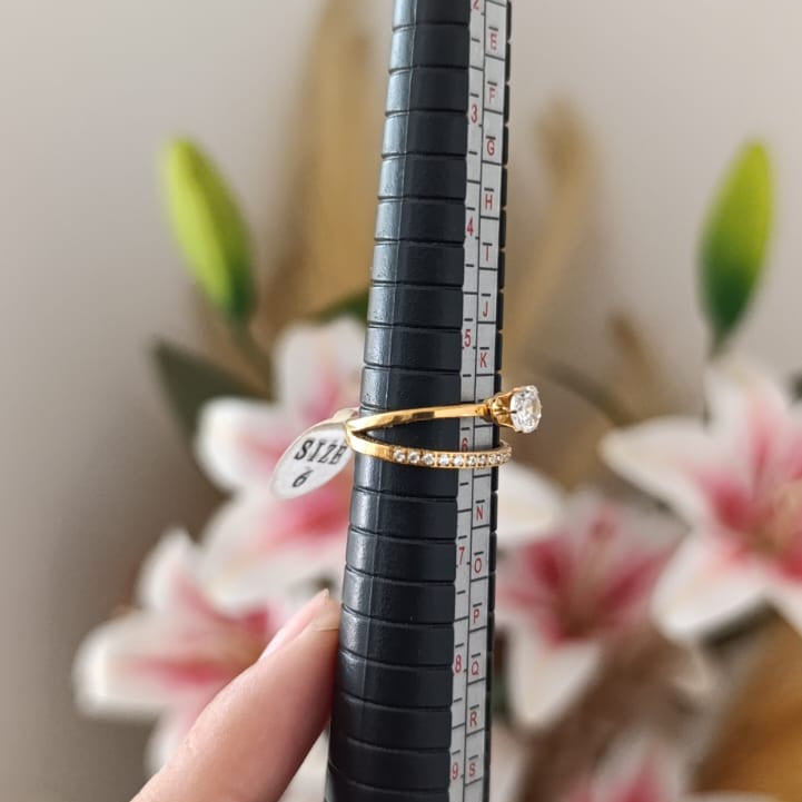 Anillo de Acero