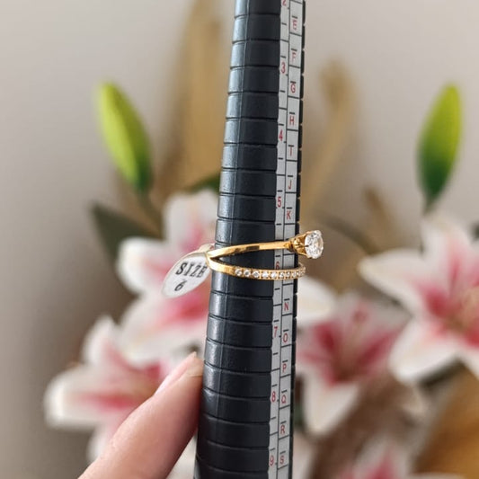 Anillo de Acero