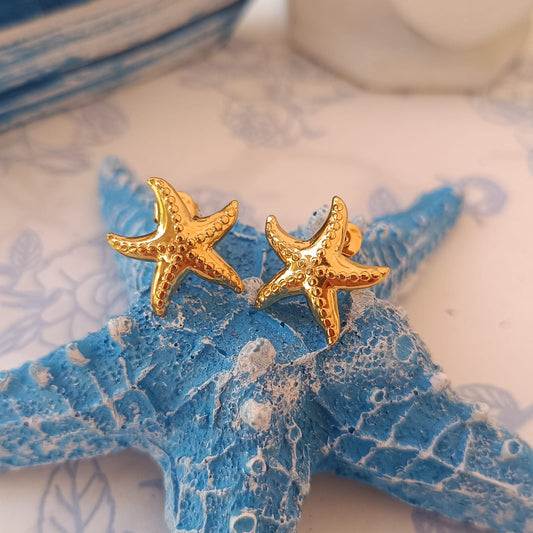 Aretes Mini Estrella