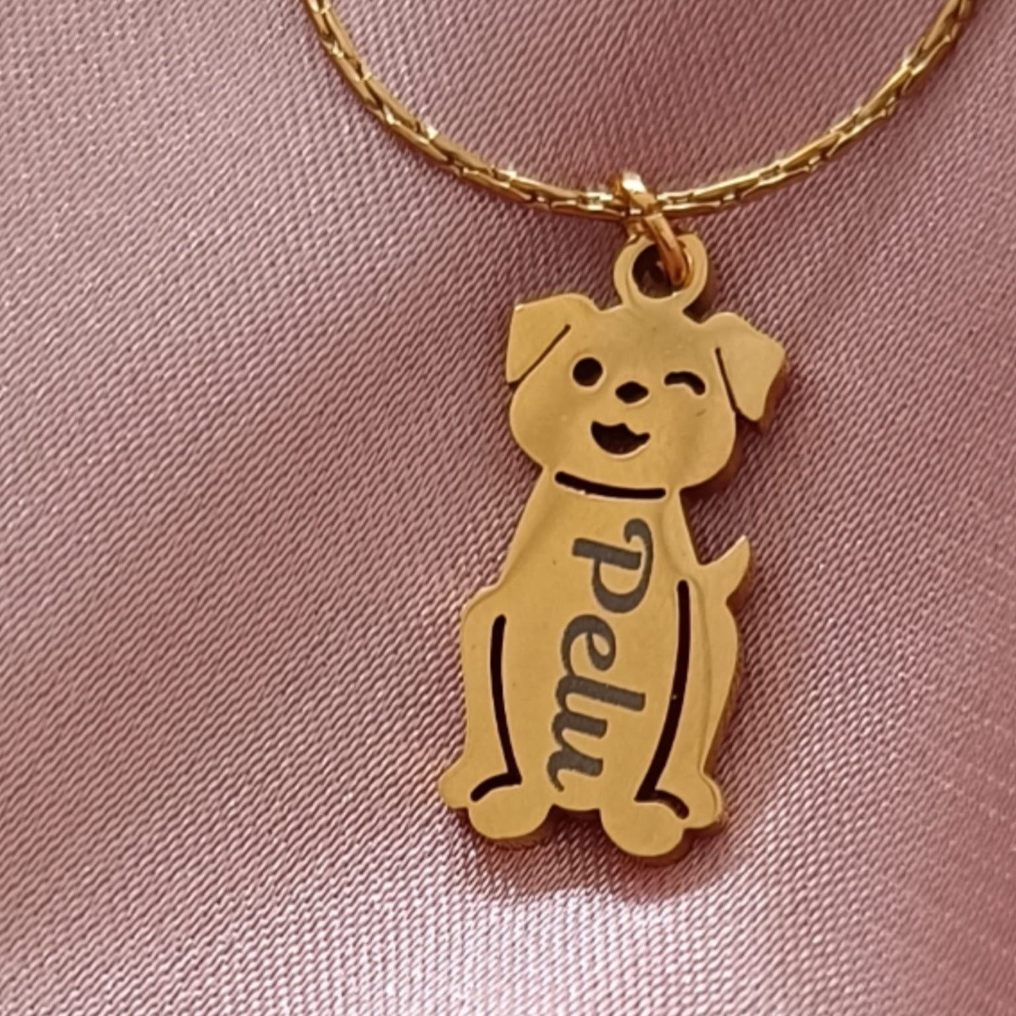 Cadena de Mascota