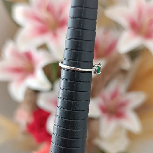 Anillo Verde